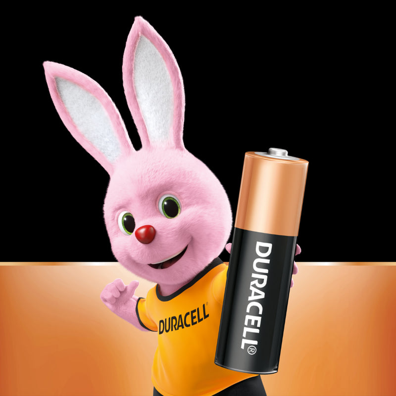 DURACELL Reg MN1500B10 1.5V AA 10Pk